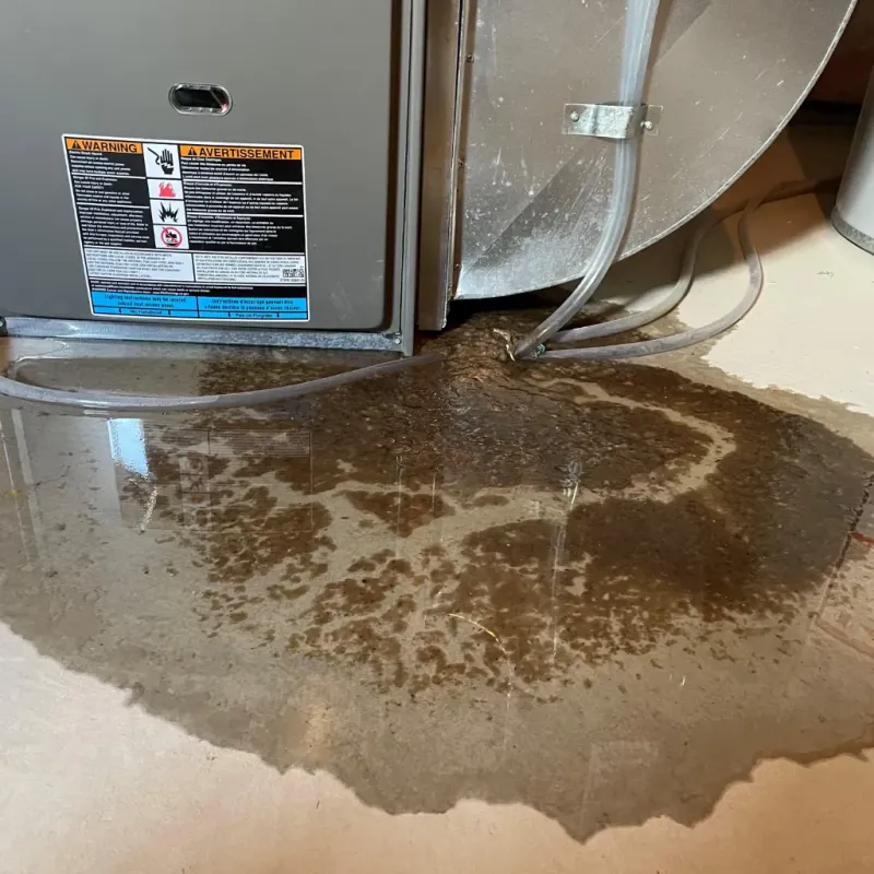 Appliance Leak Cleanup in Alexander, AR